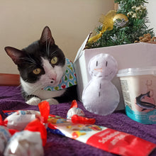 Load image into Gallery viewer, A Kitty Under The Xmas Tree