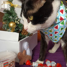 Load image into Gallery viewer, A Kitty Under The Xmas Tree