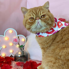 Load image into Gallery viewer, Kitty Kisses