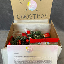 Load image into Gallery viewer, A Kitty Under The Xmas Tree