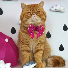 Load image into Gallery viewer, A Rainy Day