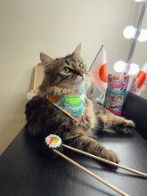 Load image into Gallery viewer, I Want Sushis