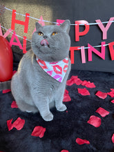 Load image into Gallery viewer, Kitty Kisses