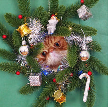 Load image into Gallery viewer, Kitty Wishes