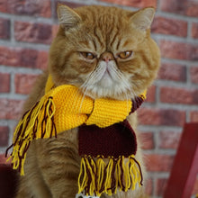 Load image into Gallery viewer, Harry Pawter