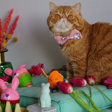 Load image into Gallery viewer, Easter Cat