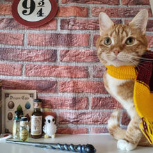 Load image into Gallery viewer, Harry Pawter