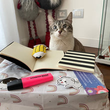 Load image into Gallery viewer, Back To School