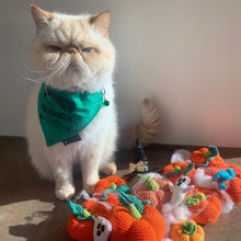 Load image into Gallery viewer, Franken Cute