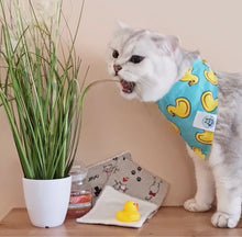 Load image into Gallery viewer, A Day At The Spa