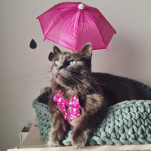 Load image into Gallery viewer, A Rainy Day