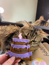 Load image into Gallery viewer, Birthday