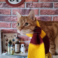 Load image into Gallery viewer, Harry Pawter