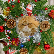 Load image into Gallery viewer, Kitty Wishes