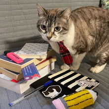 Load image into Gallery viewer, Back To School