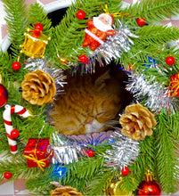 Load image into Gallery viewer, Kitty Wishes