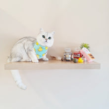 Load image into Gallery viewer, A Day At The Spa