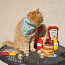 Load image into Gallery viewer, Catchup and Meownaise