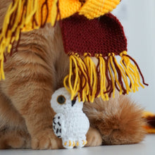 Load image into Gallery viewer, Harry Pawter