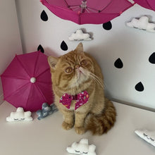 Load image into Gallery viewer, A Rainy Day