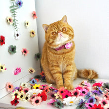 Load image into Gallery viewer, Flower Power