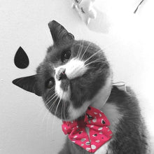 Load image into Gallery viewer, A Rainy Day