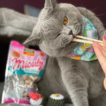 Load image into Gallery viewer, I Want Sushis