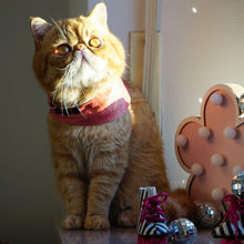 Load image into Gallery viewer, Disco Furball