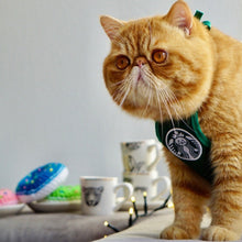 Load image into Gallery viewer, Coffee To Go