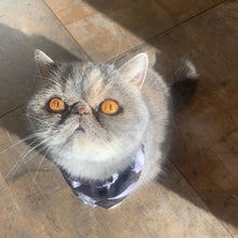 Load image into Gallery viewer, I Ghost You