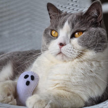 Load image into Gallery viewer, I Ghost You