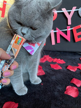 Load image into Gallery viewer, Kitty Kisses