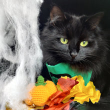 Load image into Gallery viewer, Franken Cute