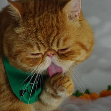 Load image into Gallery viewer, Franken Cute