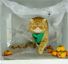 Load image into Gallery viewer, Franken Cute