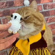 Load image into Gallery viewer, Harry Pawter