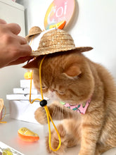 Load image into Gallery viewer, Tutti Kitty Frutti (x Momo's Pet Boutique)