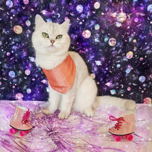 Load image into Gallery viewer, Disco Furball