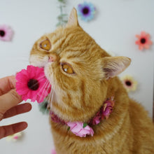 Load image into Gallery viewer, Flower Power