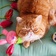Load image into Gallery viewer, Easter Cat