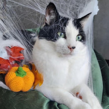 Load image into Gallery viewer, Franken Cute