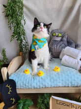 Load image into Gallery viewer, A Day At The Spa