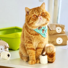 Load image into Gallery viewer, Toy-let Poower