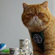 Load image into Gallery viewer, Coffee To Go