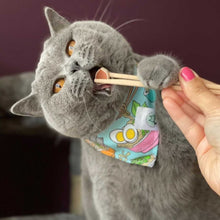 Load image into Gallery viewer, I Want Sushis