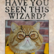 Load image into Gallery viewer, Harry Pawter