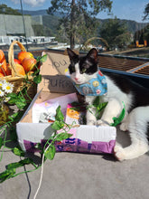 Load image into Gallery viewer, Gardener