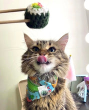 Load image into Gallery viewer, I Want Sushis