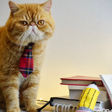 Load image into Gallery viewer, Back To School