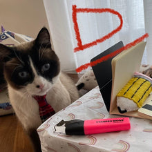 Load image into Gallery viewer, Back To School